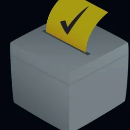 🗳