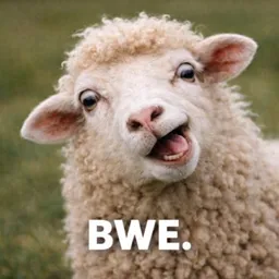 BWE 