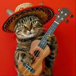 CATTO