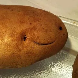 TATO