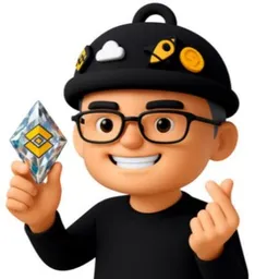 BNBHolder
