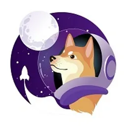 $DOGE1