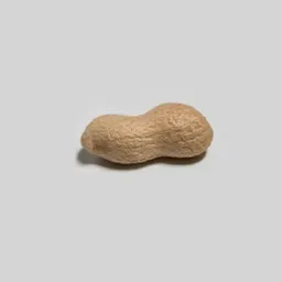NUT