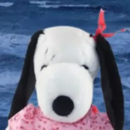 dougi