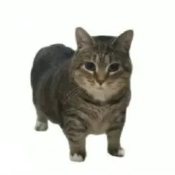 OIME