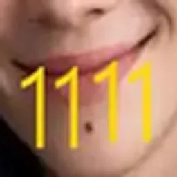 1111