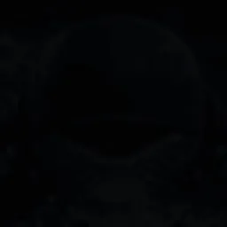 SpermWhale