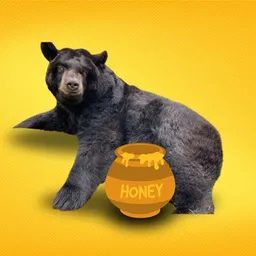 HONEY