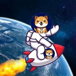 STARSHIPDOGE