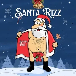 Santa Rizz token logo