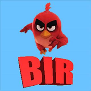 BIR