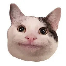 POLITE