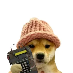dogwifc4