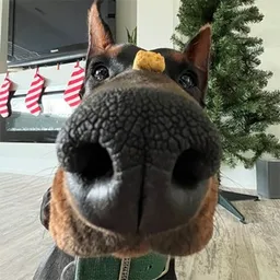 maverick