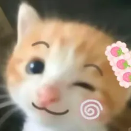死对头