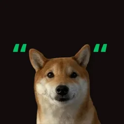 "DOG"