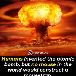 BURN