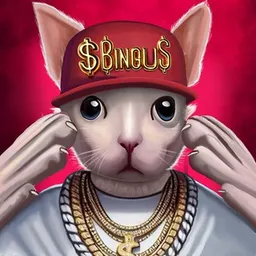 BINGUS 