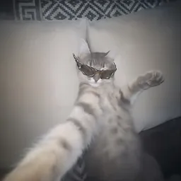 PURR