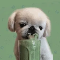 MILKSHAKE