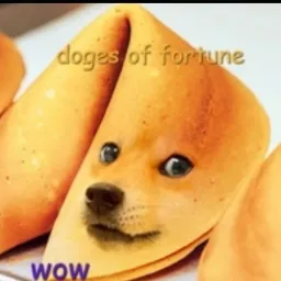 Fortune