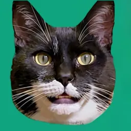 CATGPT
