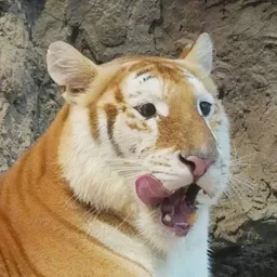 Sol 