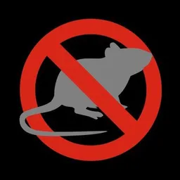 Rats