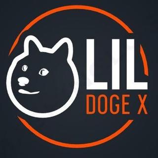 lilDOGEX