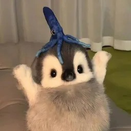squidy