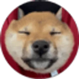 SAN