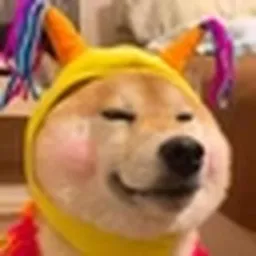 Joki