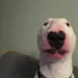 Walter