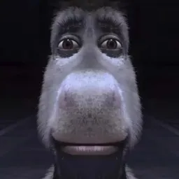 donkey