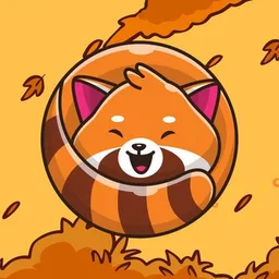 RACCOIN