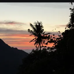phi phi