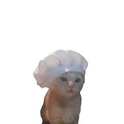 cook
