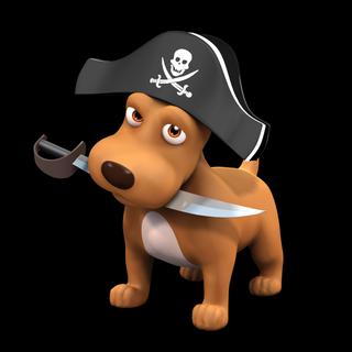 FLOKIPIRATE