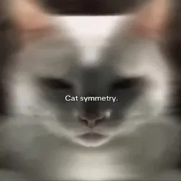 symmetry