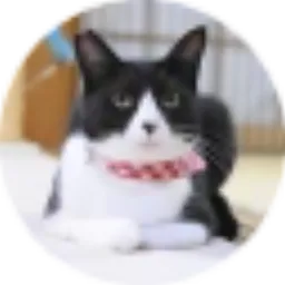 Onigiri