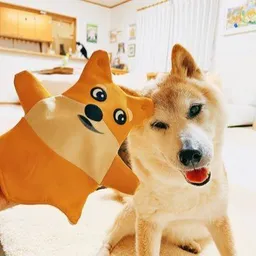 SHIBU