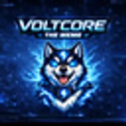 VOLTMEME