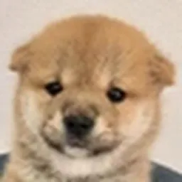 Bou