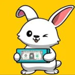 RabbitMoney