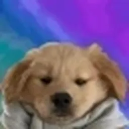 Kambo