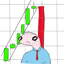 RR
