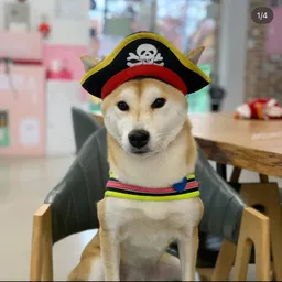 TUNA