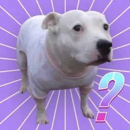 PWNDR