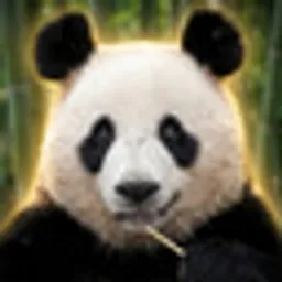 XinXin