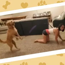 DOGGY